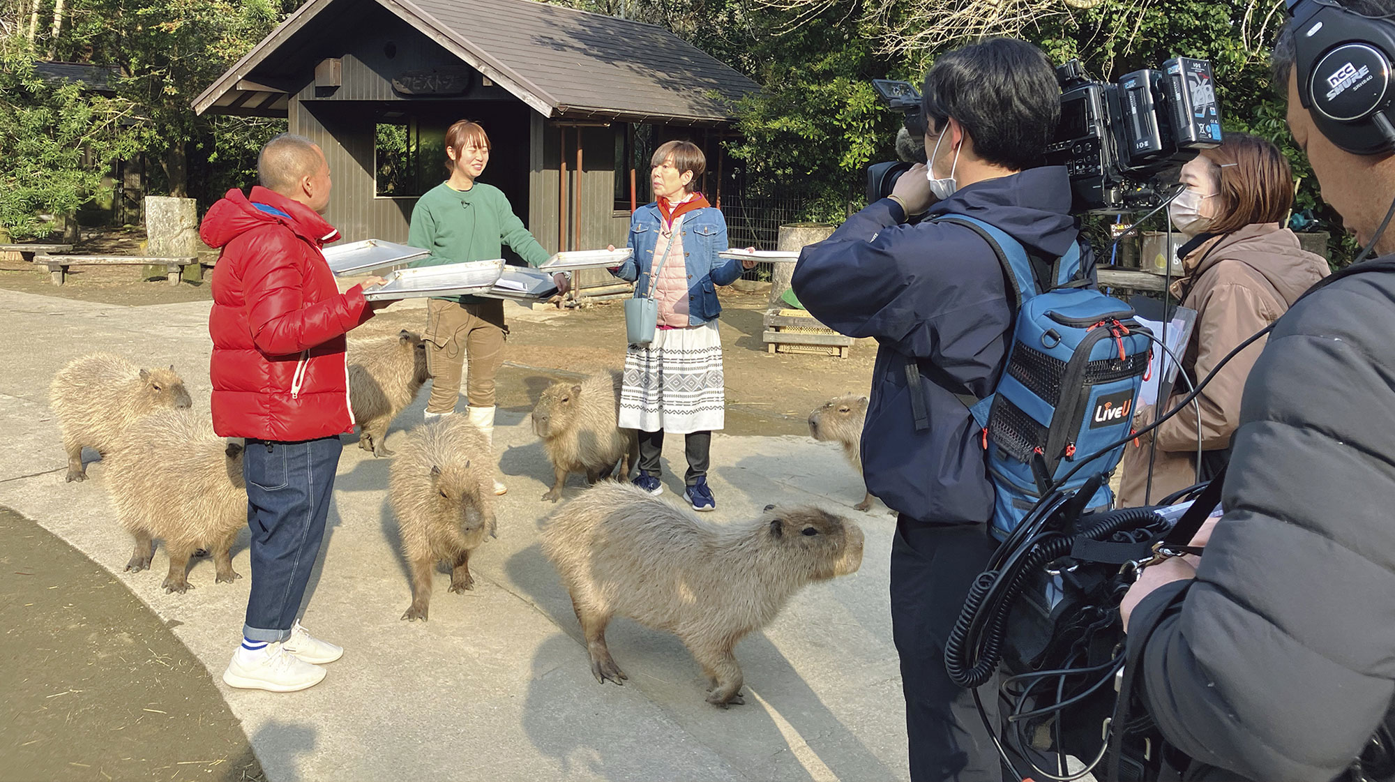 ハピサタ生中継