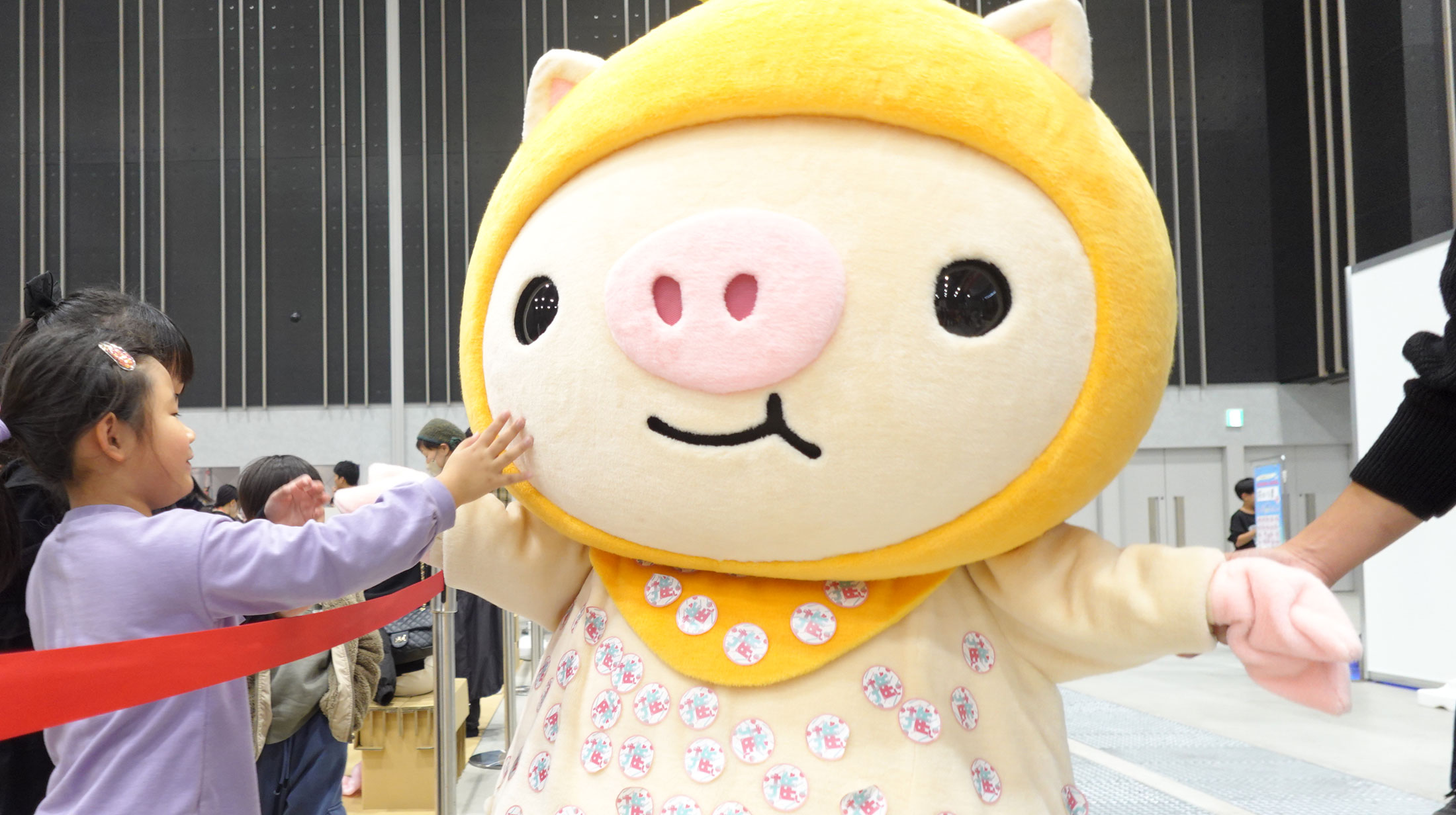 pちゃんと戯れる