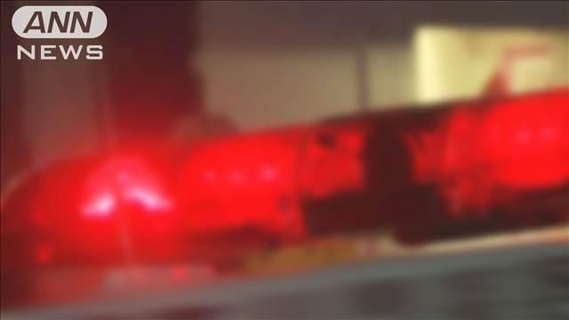 埼玉・御岳山で部活動中の女子高生が滑落　意識不明の重体
