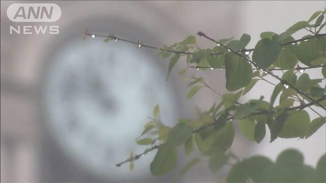 広範囲で雨 東京は10日ぶりに20℃に届かず
