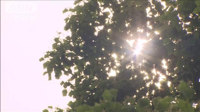 全国の半数以上で夏日　今年初めて500地点で観測