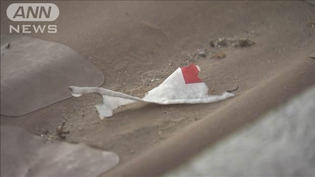 ファミレスの旗や植木に放火か　16歳の高校生の少年2人逮捕　さいたま市