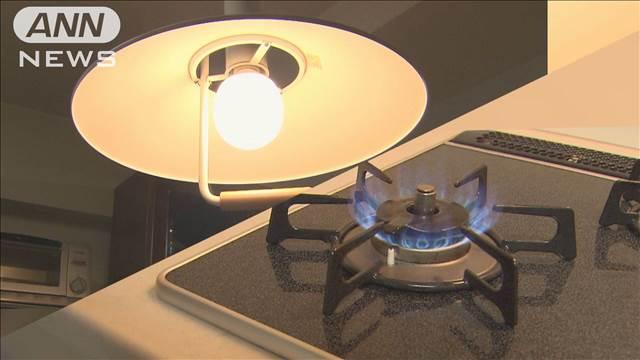 7月から9月の電気・ガス料金　月1000円程度の補助を検討　物価高対策の一環