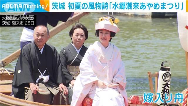 茨城・潮来　水郷潮来あやめまつり　500種100万株のハナショウブやアヤメに花嫁も