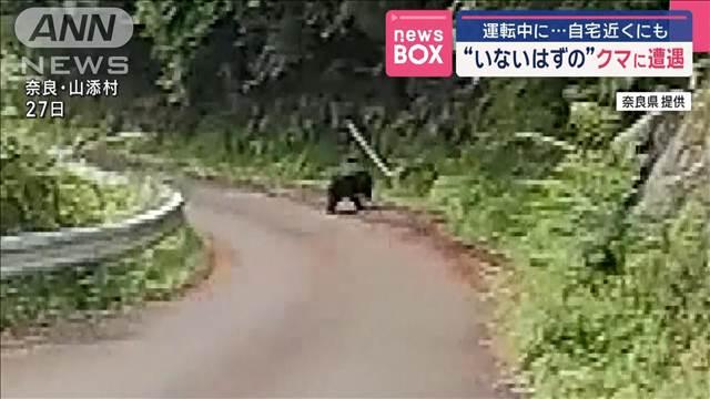“いないはずの場所”にクマが出現　奈良・山添村