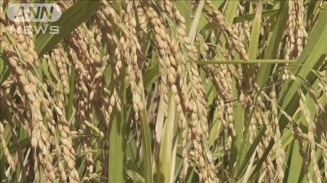 5月のコメ相対取引価格 過去最高　60キロ2万7649円　農水省