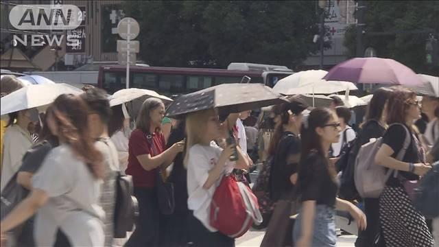 20日の東京都内で熱中症疑いの搬送は24人　80代男性が重症