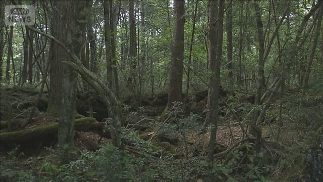 女子高校生の自殺を手助けした疑い　ロープを渡し…男を逮捕　山梨・青木ケ原樹海