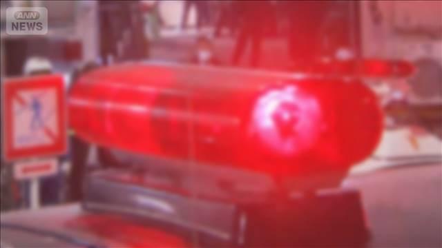 全焼した軽トラックから遺体　性別は不明　所有者と連絡取れず　埼玉・加須市