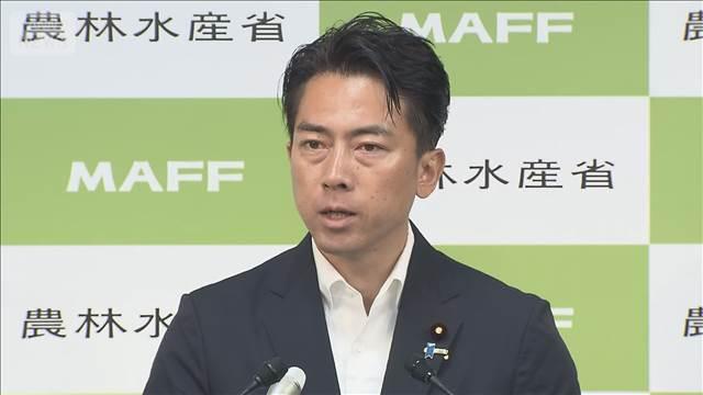 今年の新米 56万トン増産見込み　小泉大臣