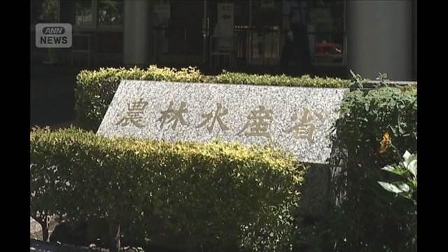 上半期の農林水産物の輸出額 過去最高に　ホタテ貝など人気　アメリカ向け大幅増