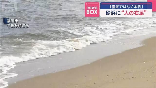 「義足ではなく本物」　砂浜に“人の右足”　福岡