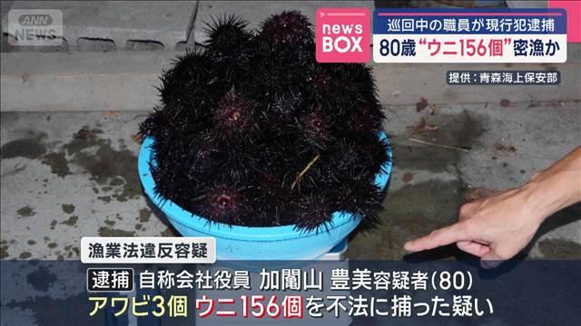80歳“ウニ156個”密漁か 巡回中の職員が現行犯逮捕