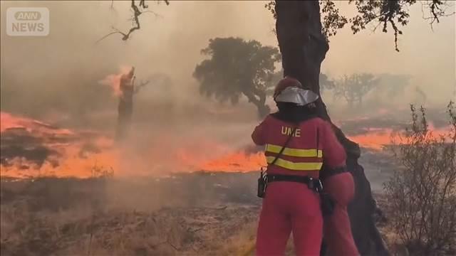 スペイン山火事　消火に軍を追加　鎮火できず全土で合計1900人