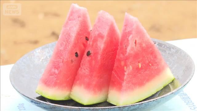 残ったスイカ…冷蔵？冷凍？　“あるコツ”で誰でも簡単！