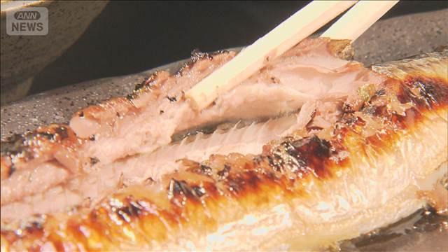“美味しい”サンマ選び方　見るべきは…頭？腹？尾？　黒潮大蛇行が“終息宣言”