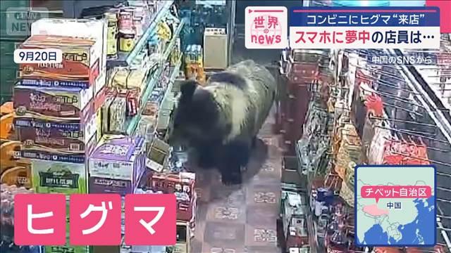 アメリカの店内に“招かれざる客”クマに緊張走る　中国でもコンビニにヒグマ“来店”