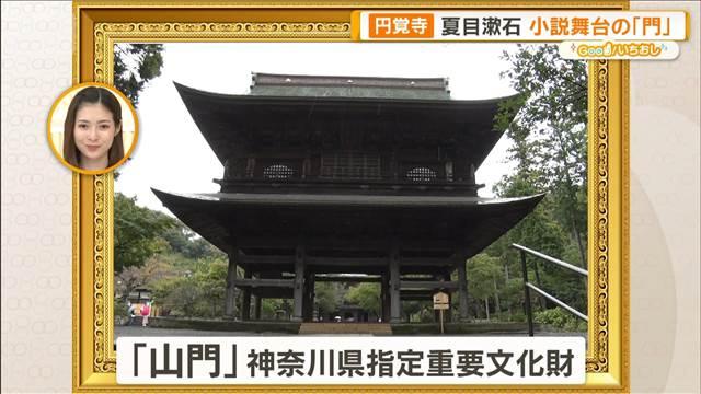 円覚寺を歩き鎌倉の歴史を振り返る　夏目漱石の「門」そして元寇【グッド！いちおし】