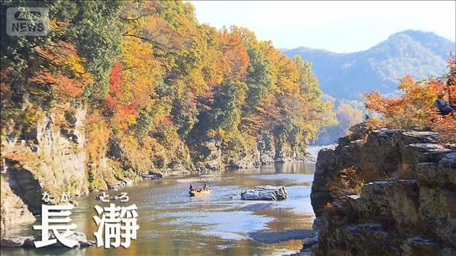 秋の秩父を堪能　列車旅で味わう本格フレンチに…長瀞の絶景も！【グッド！いちおし】