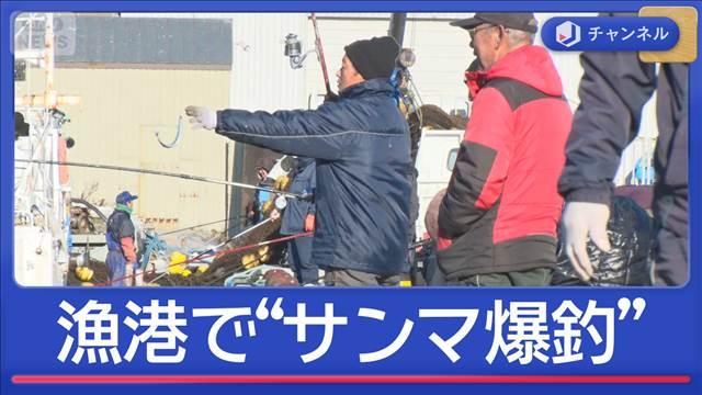 1人で300匹！漁港でサンマ“入れ食い”なぜ？