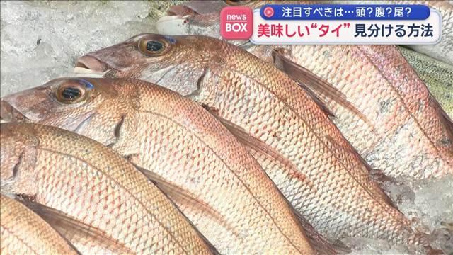 美味しい“タイ”見分ける方法　注目すべきは…頭？腹？尾？