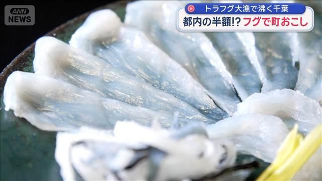トラフグ大漁で沸く千葉　都内の半額！？ フグで町おこし