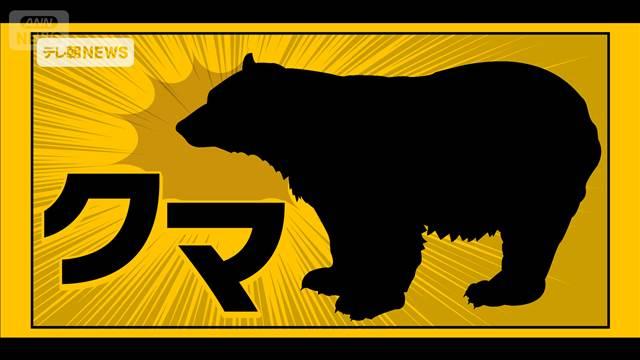 【速報】富山でクマに襲われ新聞配達員の70代男女2人がけが