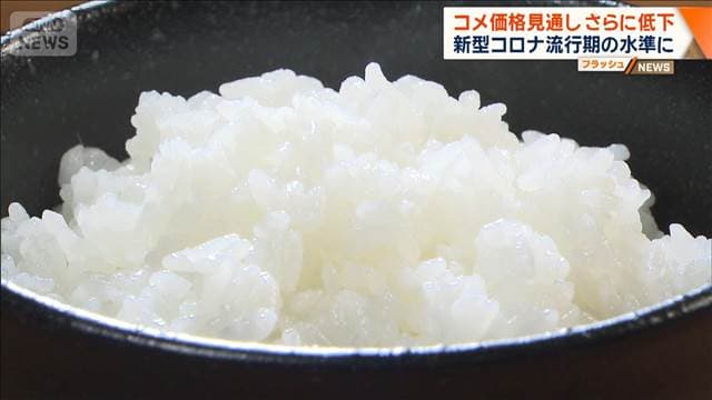 コメ価格見通し さらに低下　新型コロナ流行期の水準に