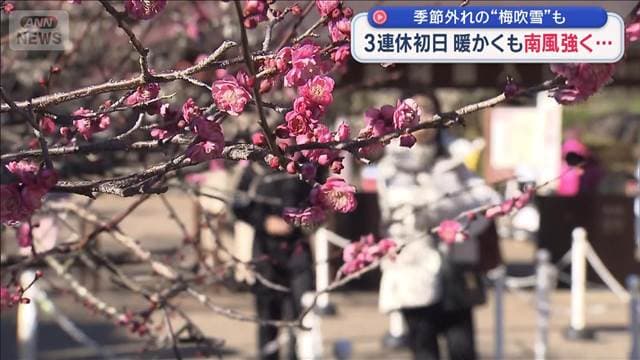 3連休初日　暖かくも南風強く…季節外れの“梅吹雪”も