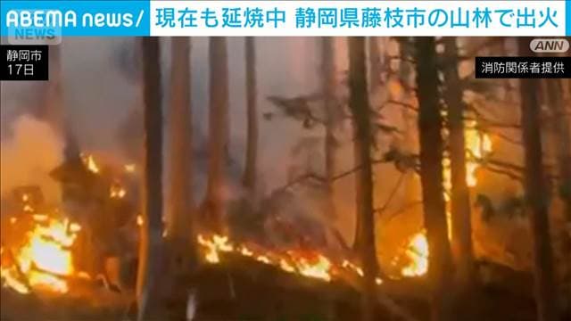 静岡・藤枝市で山林火災　現在も延焼中