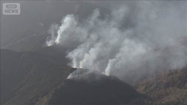静岡の山火事　焼失約5.5haに被害拡大　発生3日目鎮火のめど立たず