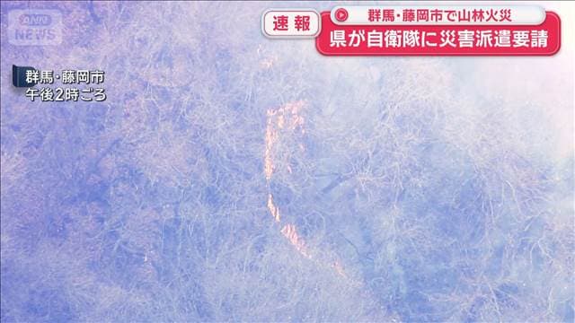 【速報】群馬・藤岡市で山林火災　県が自衛隊に災害派遣要請
