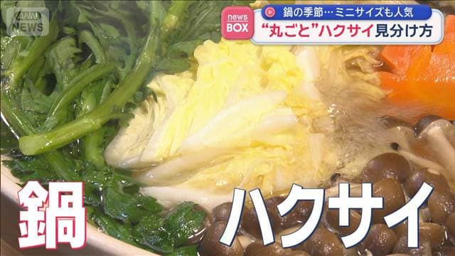 鍋の季節　おいしい“丸ごと”ハクサイの見分け方　緑の部分？白の部分？切り口？