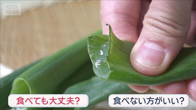 ネギの“透明ネバネバ”正体は　食べて大丈夫？それとも…？
