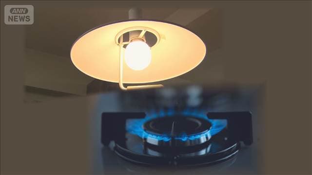 電気・ガス料金　2月使用分は各社で値上がりへ