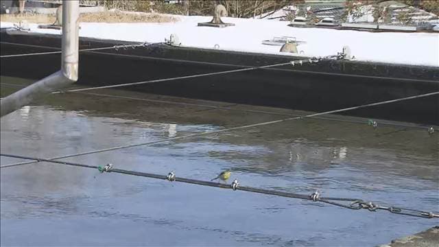 「一刻も早く復旧してほしい」箱根で断水　水道管の凍結や破裂　寒波の影響