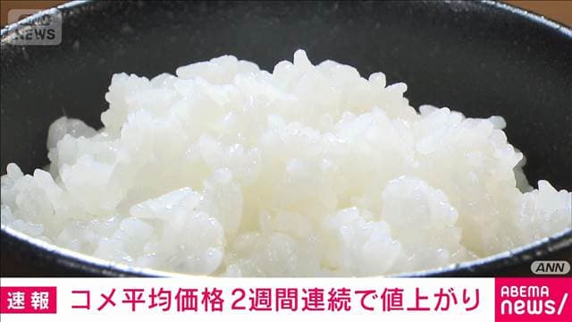 コメ平均販売価格　2週間連続値上がり　4204円/5kgで10円上昇