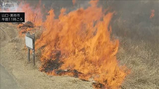 秋吉台の山焼きで作業員1人が死亡　衣服に火が燃え移る　山口