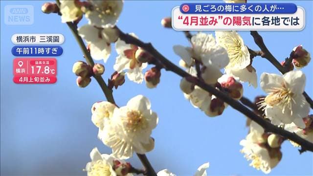“4月並み”の陽気に各地では　見ごろの梅に多くの人が…