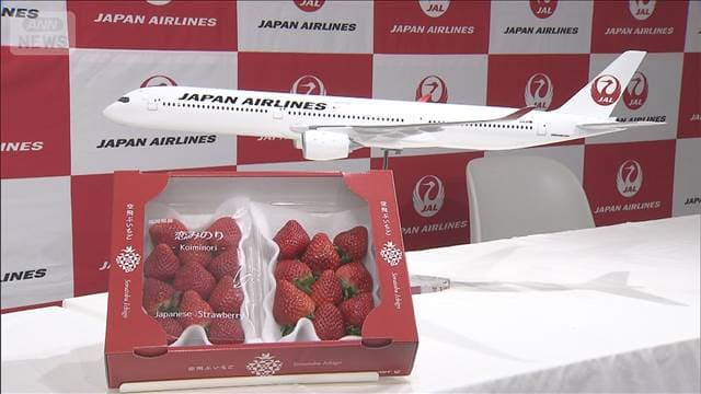 JALグループ　国とタッグ組み輸出促進へ　日本産農産物のプレミアムブランド化目指す