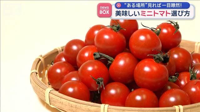 “ある場所”見れば一目瞭然！おいしいミニトマトの選び方