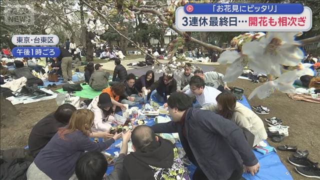 「お花見にピッタリ」　3連休最終日 桜の開花も進み“春”実感