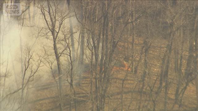 群馬の山火事 一晩で焼失面積は2倍超　あすも消火活動