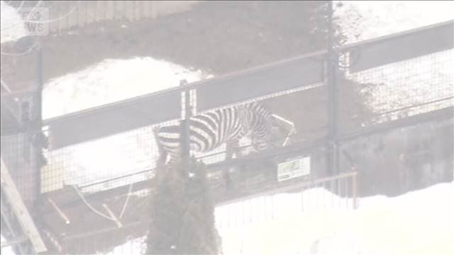 「ノースサファリ」に除却命令　違法建物の撤去10月末まで　札幌市