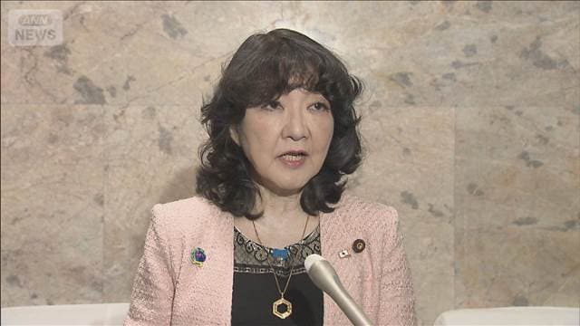 片山財務大臣 暫定予算編成に向け協力要請　期間は11日間　近く閣議決定へ