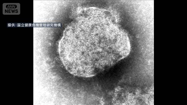 はしか感染者数急増　去年の同時期の4倍超に