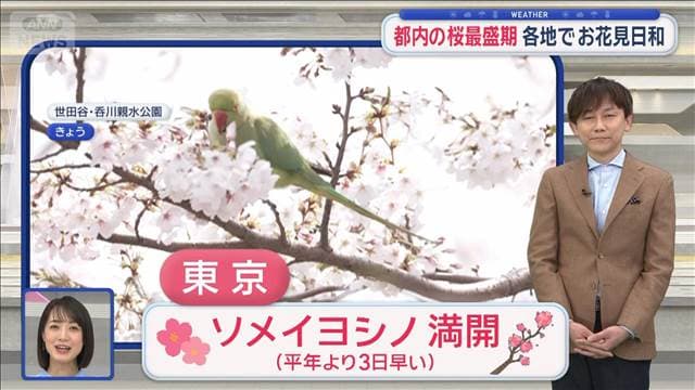 【関東の天気】都内の桜最盛期 各地でお花見日和　午後は変わりやすい天気に注意