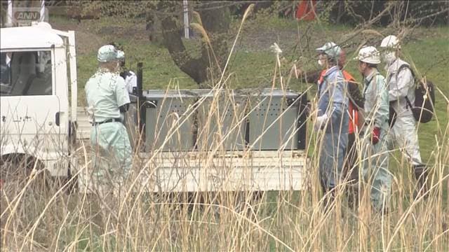 福島・郡山市 住宅地や公園でクマの目撃相次ぐ　警察や猟友会が警戒続ける