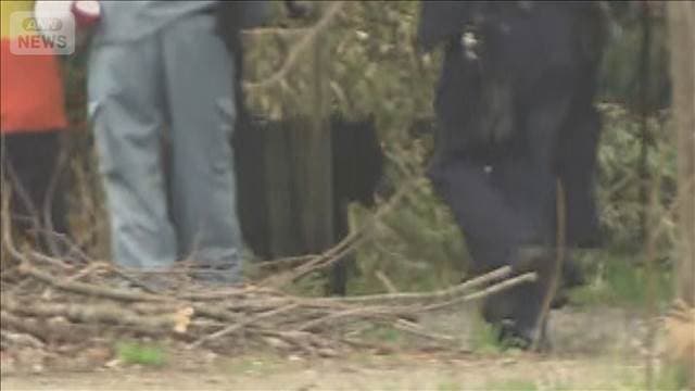 冬眠から覚めクマ目撃相次ぐ　昨年度のクマ人身被害238人 死者13人　いずれも過去最多
