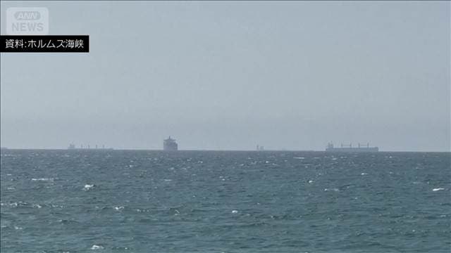 「イランへの航行中止を」警告無線 ペルシャ湾の船舶へ 米軍からとみられる音声入手